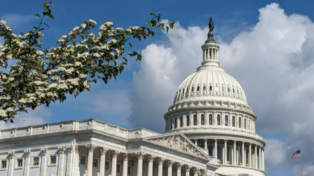 The U.S. Capitol — Americans in Italy catching up on U.S. tax filings under the Streamlined Foreign Offshore Procedures